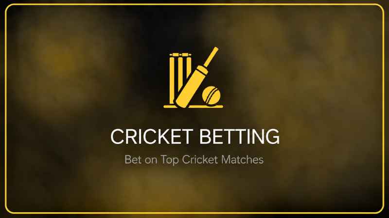 1xBet Cricket Betting