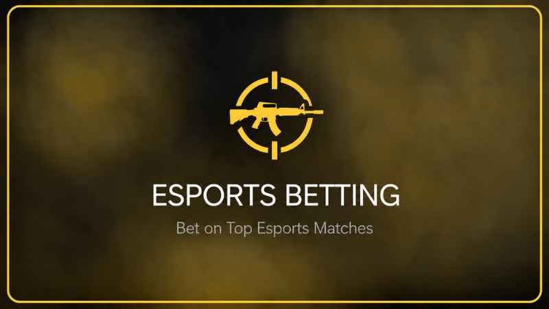 1xBet Esports Betting