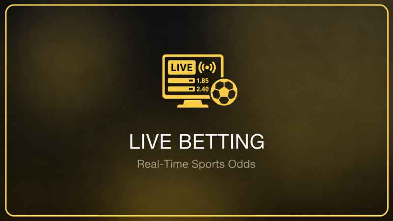 1xBet Live Betting